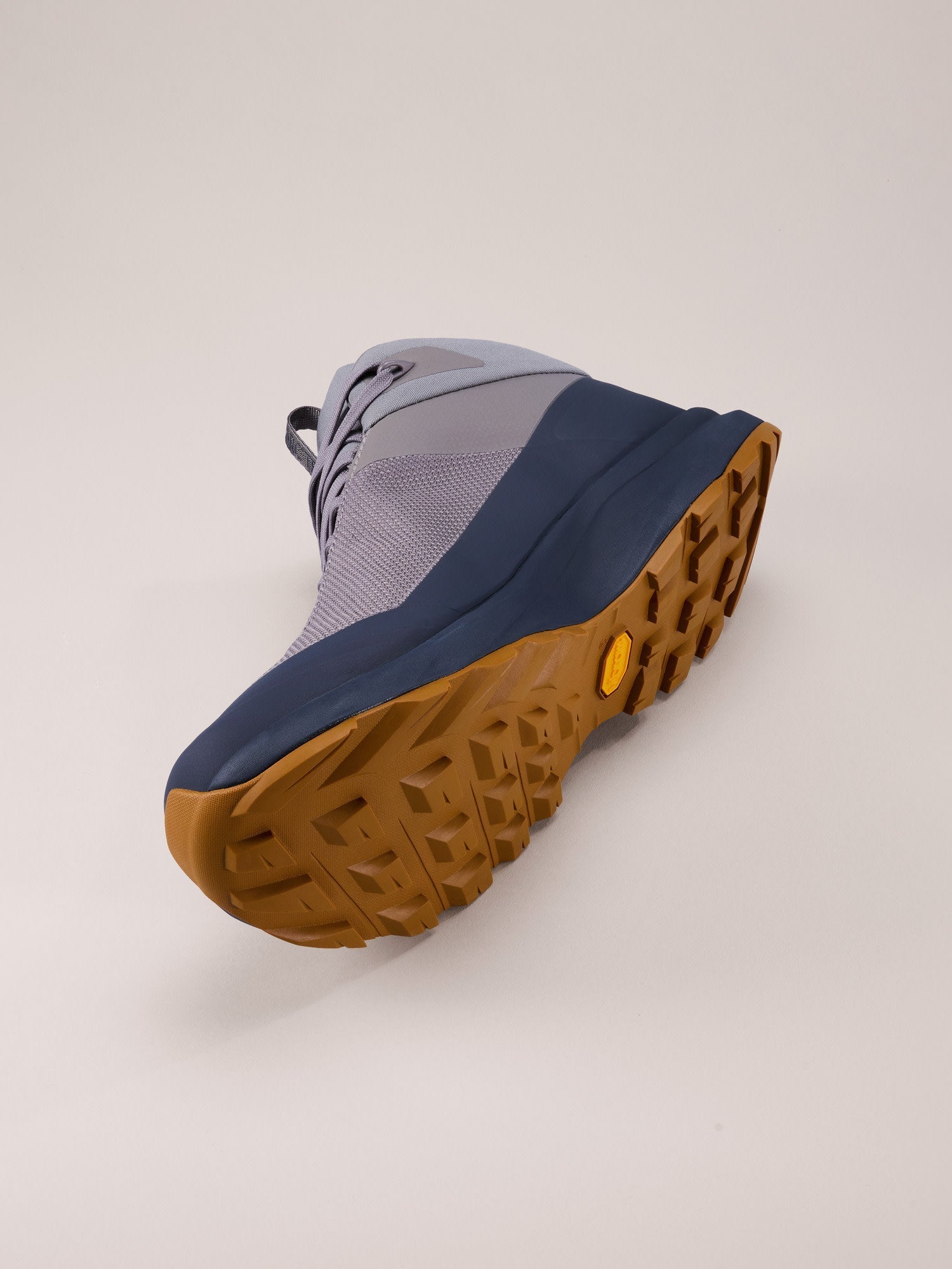 Aerios FL 2 Mid GTX Shoe Men's