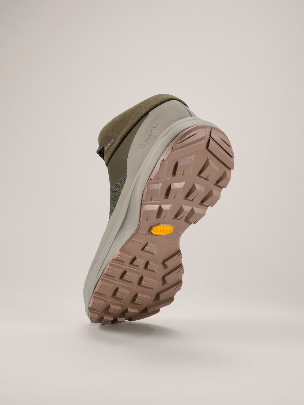 Aerios FL 2 Mid GTX Shoe Men's