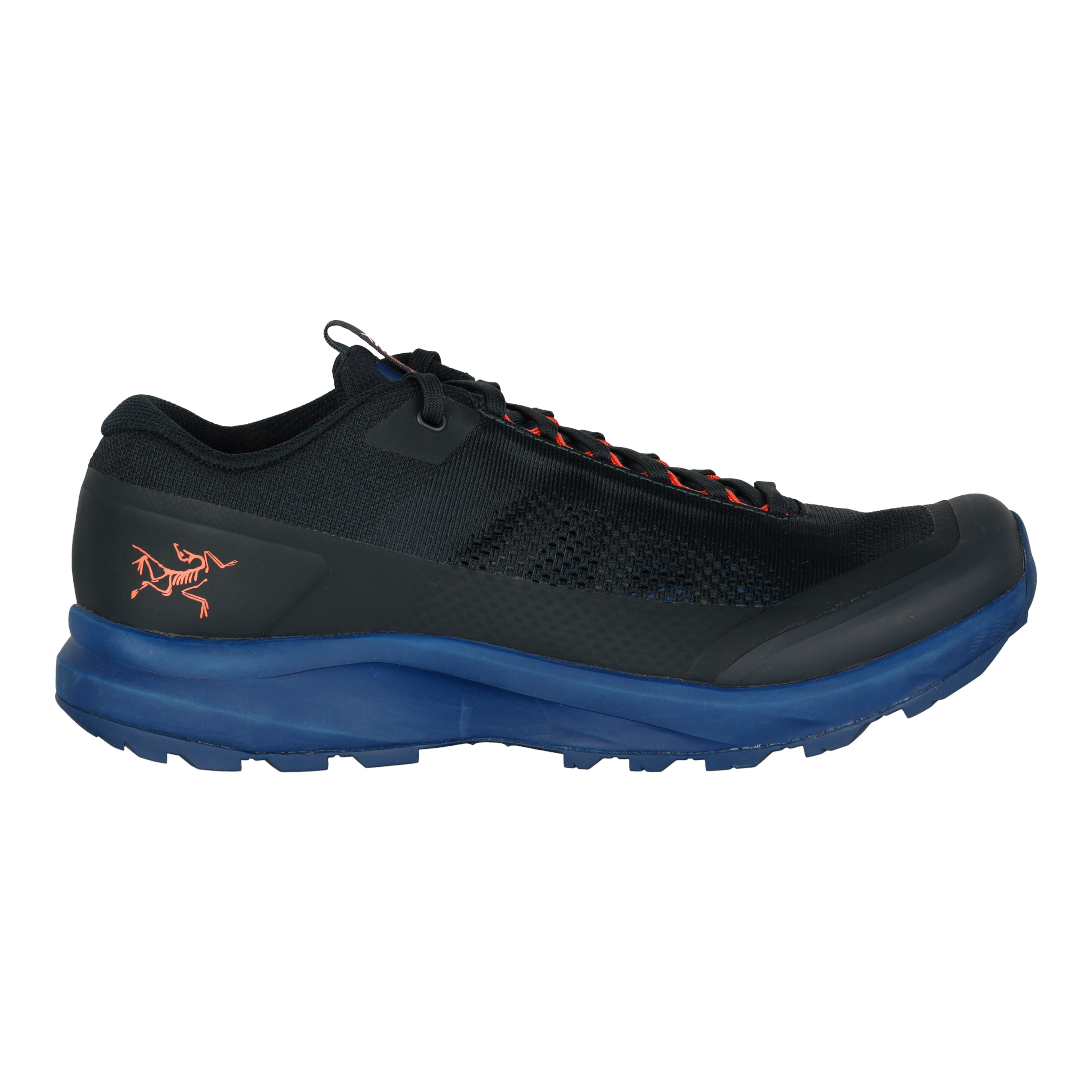 Aerios FL 2 GTX Shoe