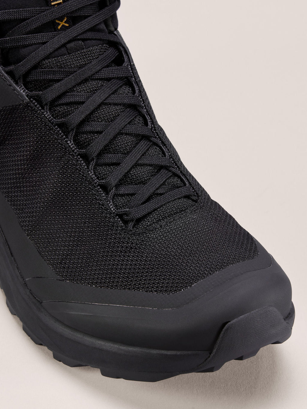 Aerios FL 2 Mid GTX Shoe Men's