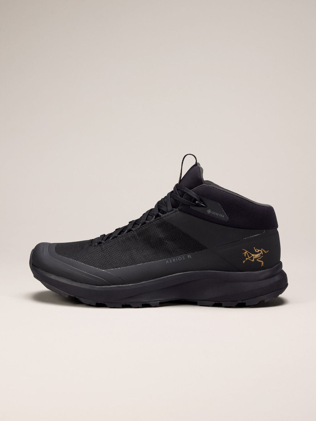 Aerios FL 2 Mid GTX Shoe Men's