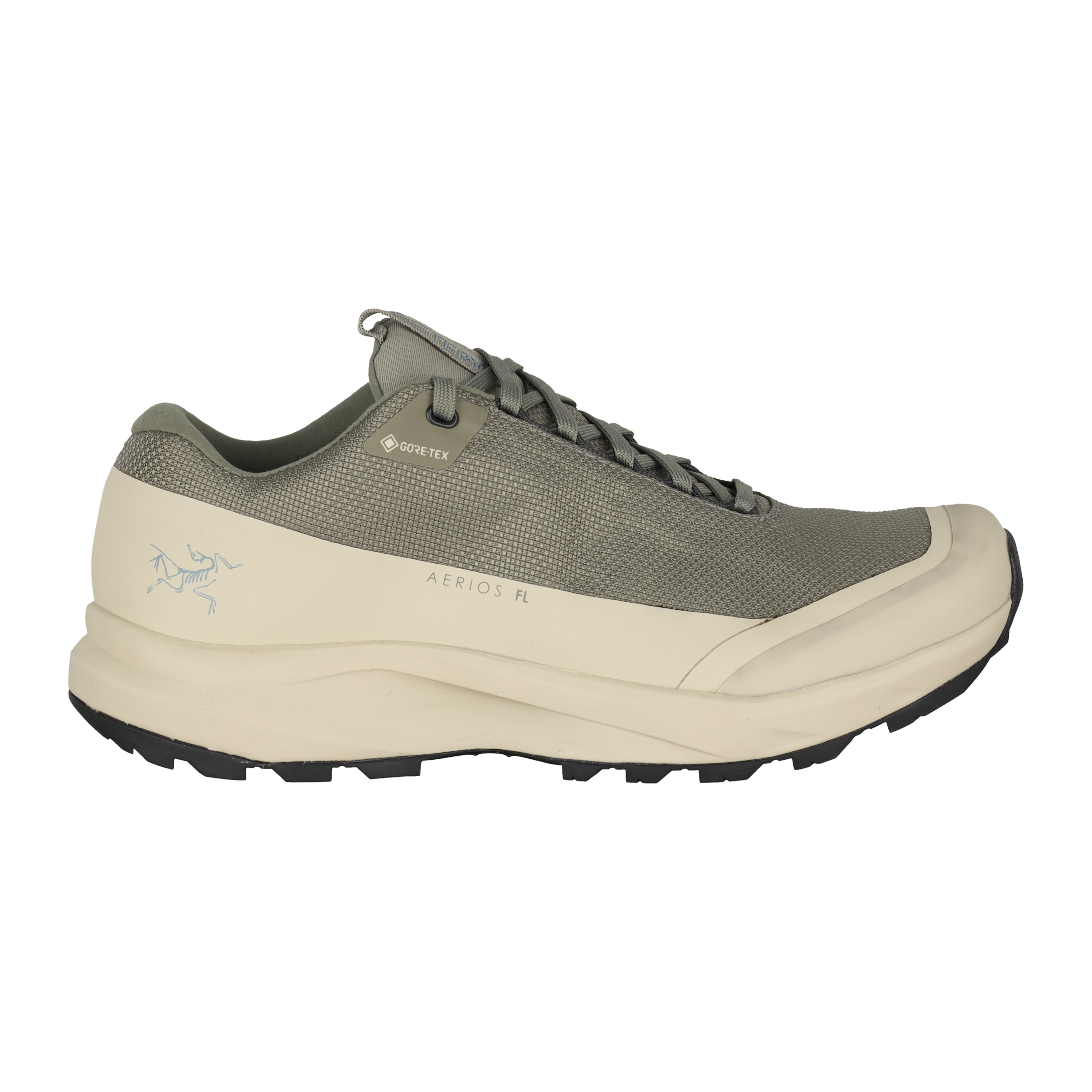 Aerios FL 2 GTX Shoe