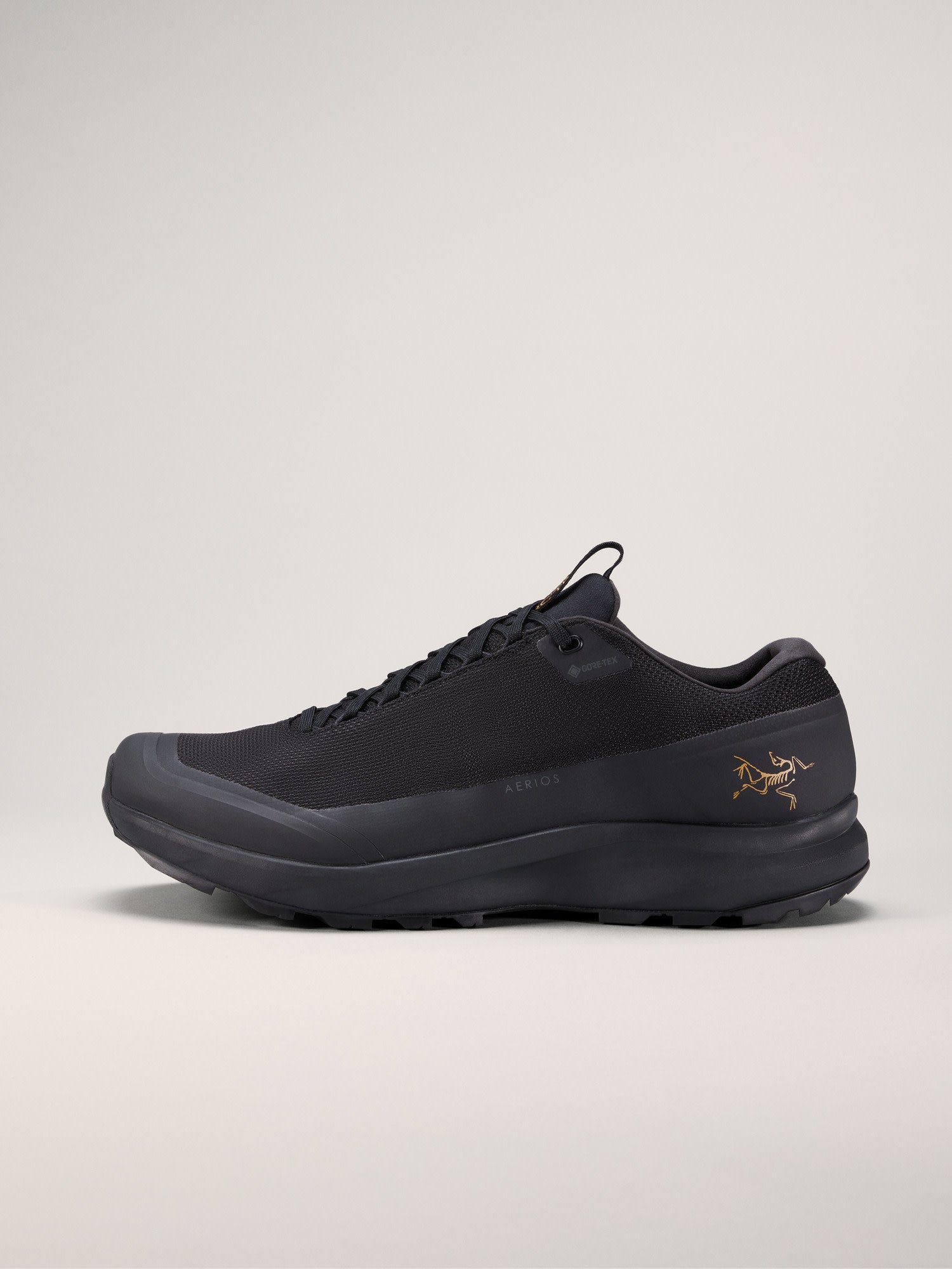 Aerios FL 2 GTX Shoe Men's