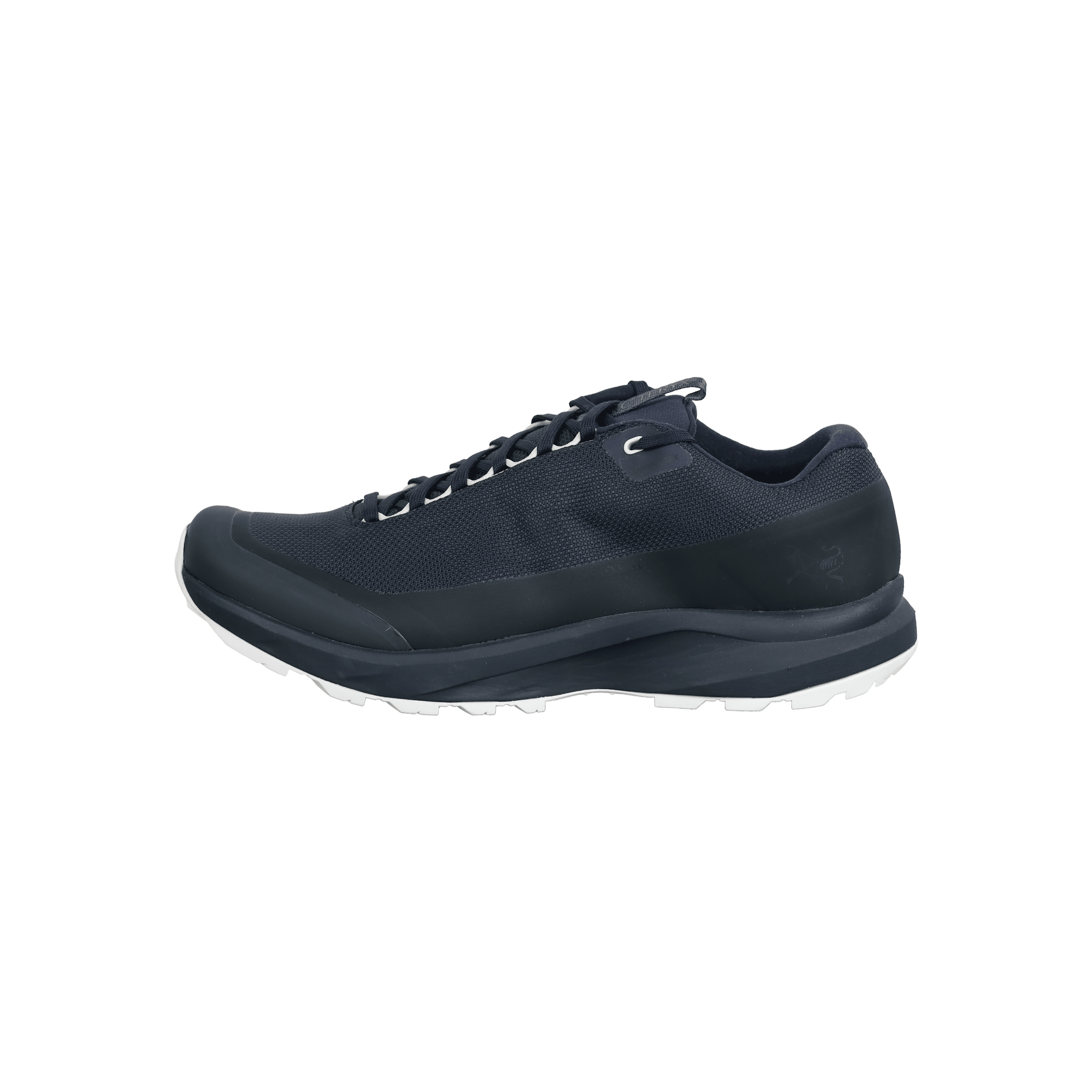 Aerios FL 2 GTX Shoe