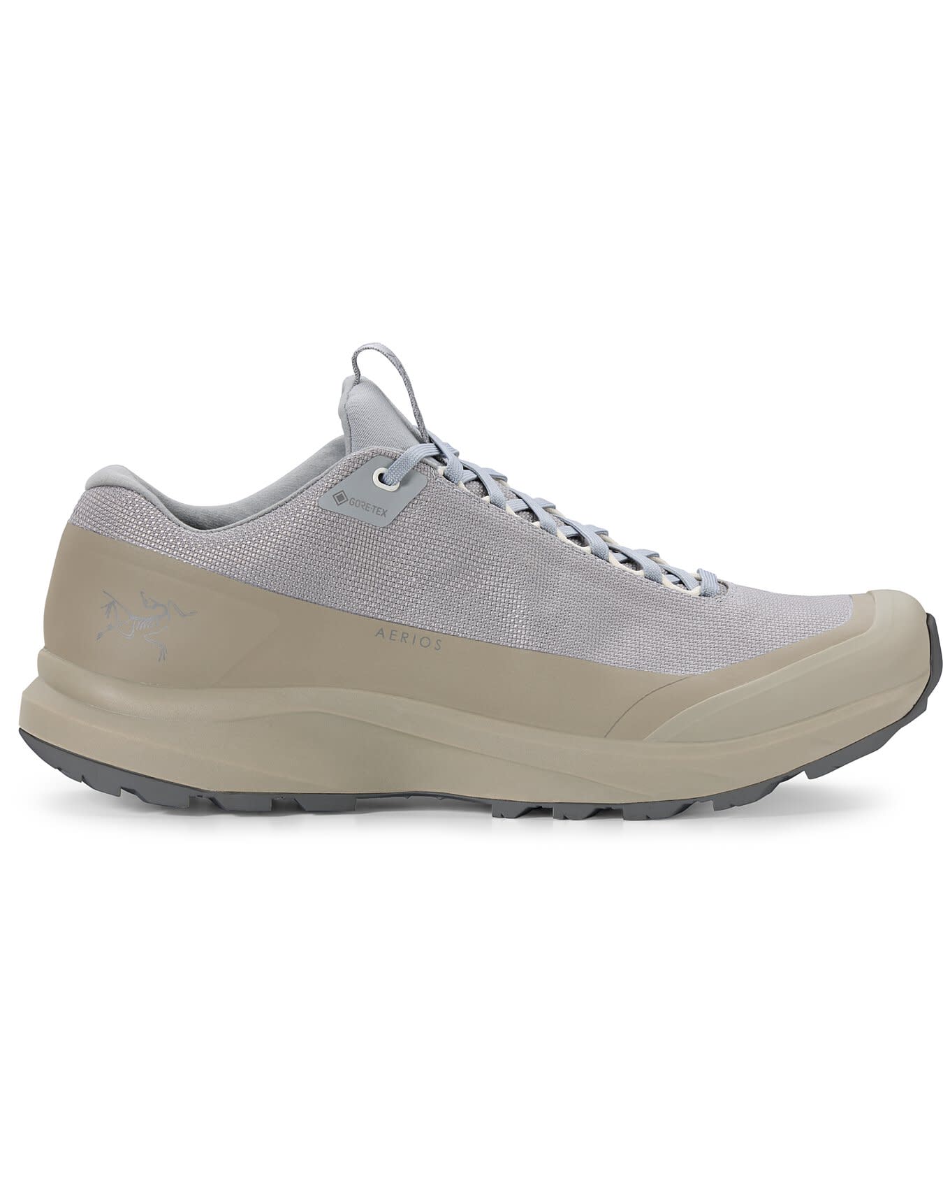 Aerios FL 2 GTX Shoe